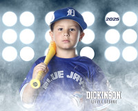 CP5U_BLUEJAYS_Whitley_Brooks_DLL11993_LIT