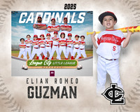 CP.Gibson.Cardinals_Guzman_Elian_SF_27486_MM
