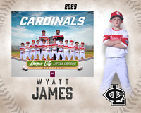 A.Crenshaw.Cardinals_James_Wyatt_IMG_1526_MM_MM