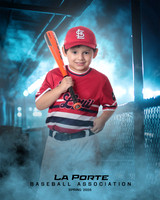4U_Foal_Cardinals_Martinez_Mateo_LP022629_DUGOUT