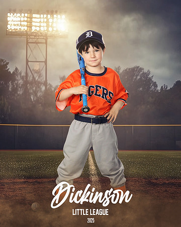 TB_TIGERS_Smith_William_DLL11544_FIELD LIGHTS_