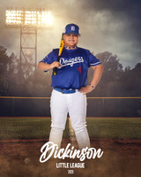 MJR_DODGERS_Diaz_Charles_DLL21156_FIELD LIGHTS_