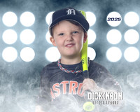 TB_ASTROS_Allen_Jack_DLL29615_LIT