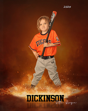 TB_TIGERS_Thorne_Anthony_DLL11624_ROF