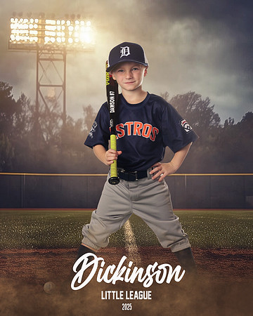 TB_ASTROS_Brandt_Dawson_DLL29672_FIELD LIGHTS_
