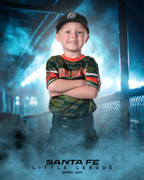 CP5_WOODDUCKS_Tatyrek_Cooper_IMGL8402_DUGOUT