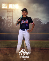 MJR_METS_12U_Orellana_Nicolas_CAM13656_FIELDLIGHTS
