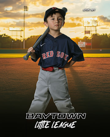 TB_ Red Sox_Michel_Michael_BAY28836_SUNSHINE