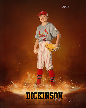 MJR_CARDINALS_Forte_Graham_DLL13140_ROF