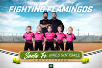 SFGS TEAM PHOTO FIGHTING FLAMINGOS