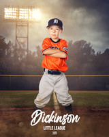 TB_TIGERS_ROUSER_Landon_DLL11524_FIELD LIGHTS_