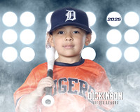 TB_TIGERS_Polk_Maddox_DLL11518_LIT