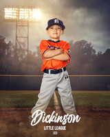 TB_TIGERS_Polk_Maddox_DLL11516_FIELD LIGHTS_