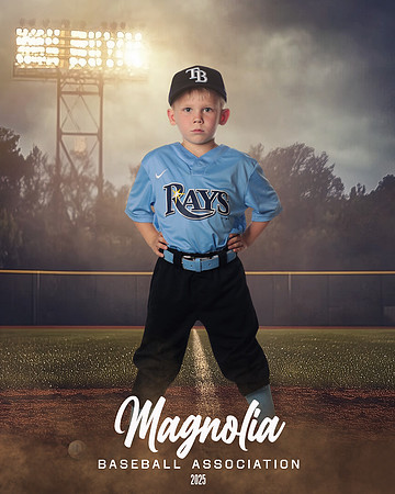 4_5U_Rays_Stephens_William_MAG25466_FIELD LIGHTS_
