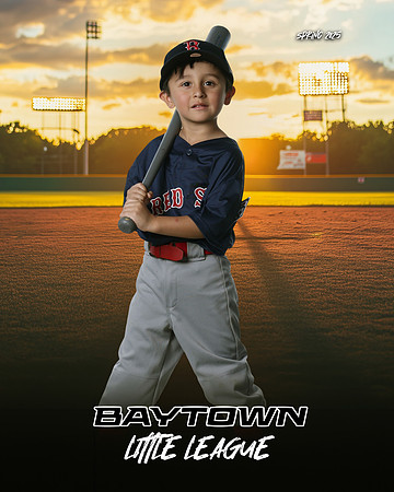 TB_ Red Sox_Michel_Michael_BAY28834_SUNSHINE