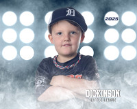 TB_ASTROS_Allen_Jack_DLL29613_LIT