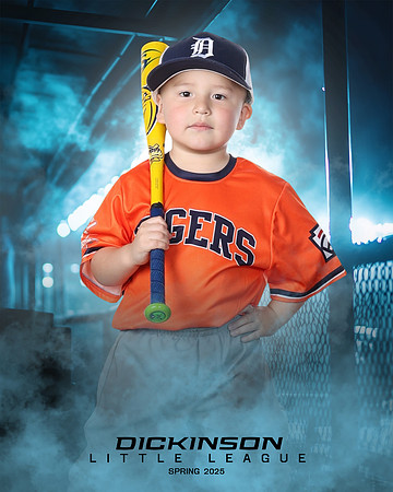 TB_TIGERS_villanueva_Giovanni_DLL11536_DUGOUT_