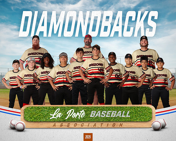 12U_Bronco_Diamondbacks_NO BG_TEAM