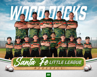 CP5_WOODDUCKS_Theobald_Bowen