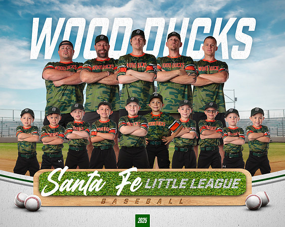 CP5_WOODDUCKS_Theobald_Bowen
