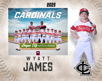 A.Crenshaw.Cardinals_James_Wyatt_IMG_1529_MM_MM