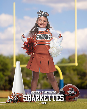MASCOT_Castellanos_Aimee_IMGL1362_GOAL POST_