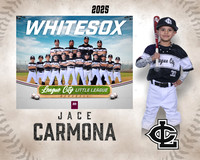 A.Johnston.WhiteSox_Carmona_Jace_143A1989_MM_MM