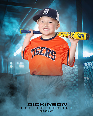TB_TIGERS_villanueva_Giovanni_DLL11537_DUGOUT_