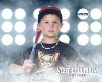 JR MINOR CHIHUAHUAS_Tyk_Weldon_WC010633_LIT_