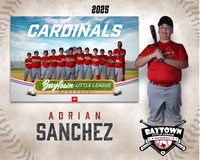 MJR_Cardinals_Sanchez_Adrian_BAY29905_MM