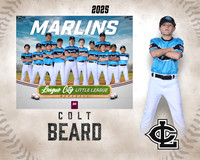 MJR.Dickson.Marlins_Beard_Colt_SF_27419_MM