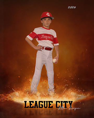 AAA.Lutz.Cardinals_Sledge_Reid_143A1941_ROF