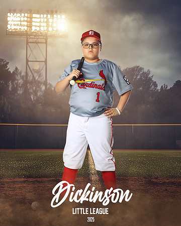 MJR_CARDINALS_Torres_Brody_DLL13157_FIELD LIGHTS_