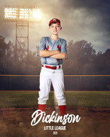 MJR_CARDINALS_Wood_Wyatt_DLL13014_FIELD LIGHTS_