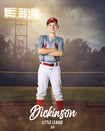 MJR_CARDINALS_Wood_Wyatt_DLL13014_FIELD LIGHTS_