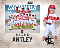 CP.Gibson.Cardinals_Antley_Nixon_SF_27704_MM