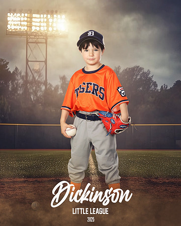 TB_TIGERS_Smith_William_DLL11548_FIELD LIGHTS_