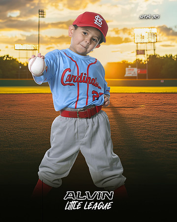TB_ CARDINALS_Ruiz_Leonardo_143A3233_SUNSHINE