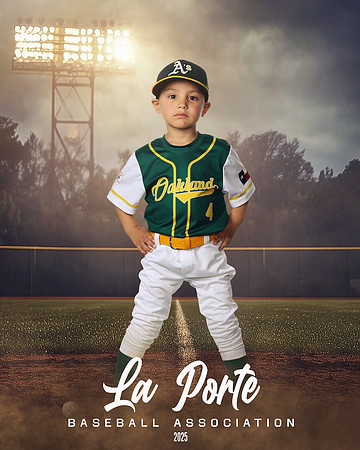4U_Foal_Athletics_Alanis_Luka_LP010715_FIELDLIGHTS