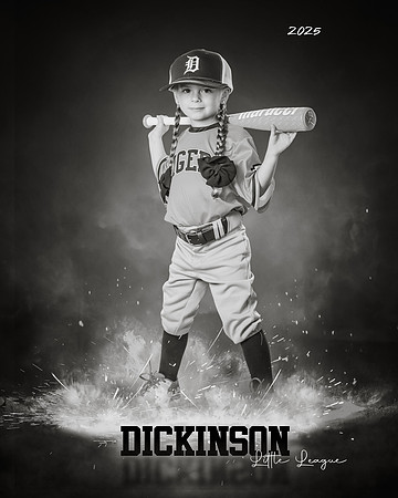 TB_TIGERS_Shafer_Harper_DLL12294_ROF-BW