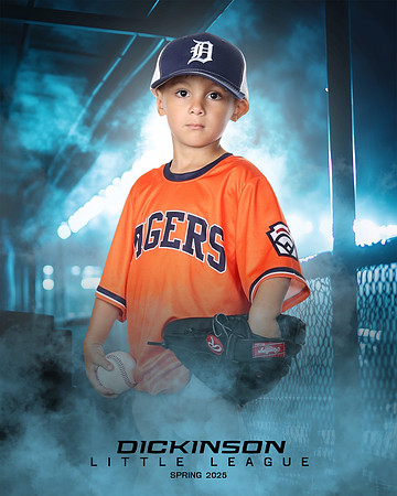 TB_TIGERS_Tiffany_Charles_DLL11650_DUGOUT_