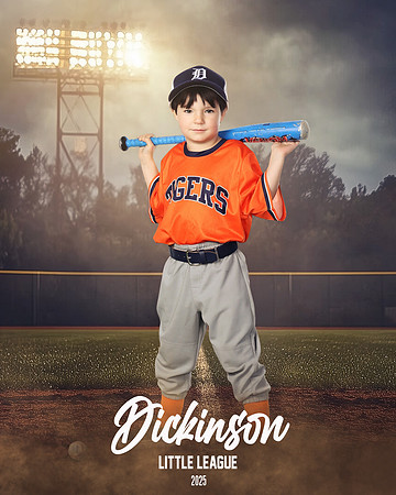 TB_TIGERS_Smith_William_DLL11546_FIELD LIGHTS_