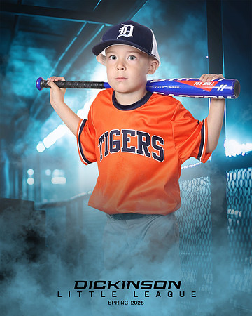 TB_TIGERS_ROUSER_Landon_DLL11528_DUGOUT_