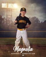 6U_Padres_Bybee_Benson_MAG26629_FIELD LIGHTS_