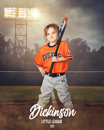 TB_TIGERS_Thorne_Anthony_DLL11624_FIELD LIGHTS_