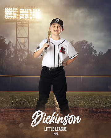 MINORS_THENUTS_Pack_Solomon_DLL12836_FIELD LIGHTS_
