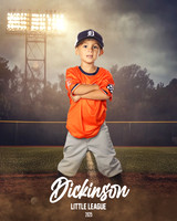TB_TIGERS_Tiffany_Charles_DLL11639_FIELD LIGHTS_