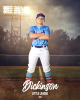 MJR_EXPOS_Johnson_Brock_DLL12966_FIELD LIGHTS_