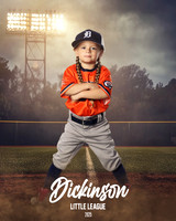 TB_TIGERS_Shafer_Harper_DLL12290_FIELD LIGHTS_
