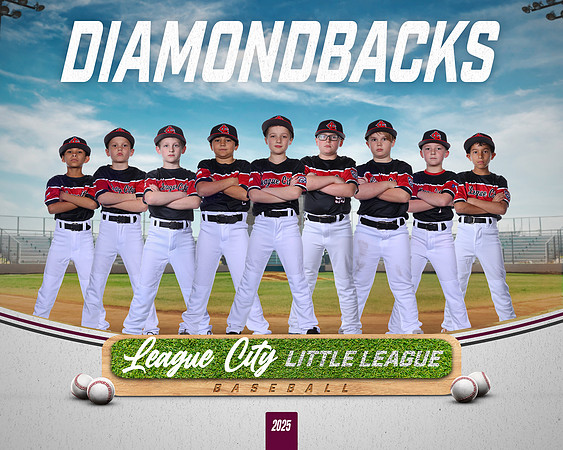 AA.Swartz.Diamondbacks_NO BG